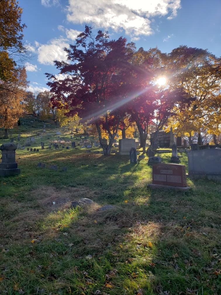 Shamokin Cemetery Fall Sunlight